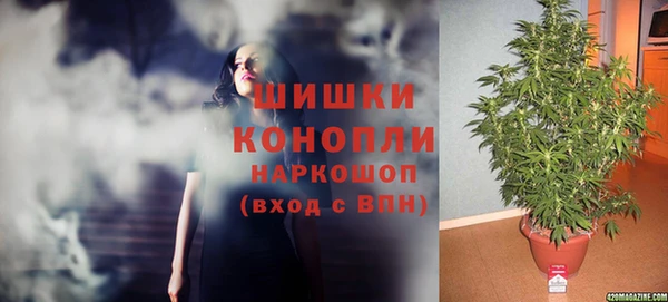 стафф Бородино
