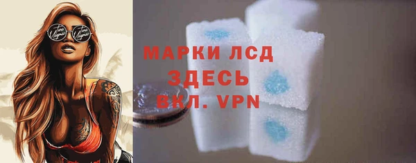 стафф Бородино