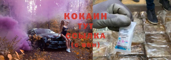 стафф Бородино