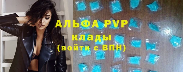 стафф Бородино